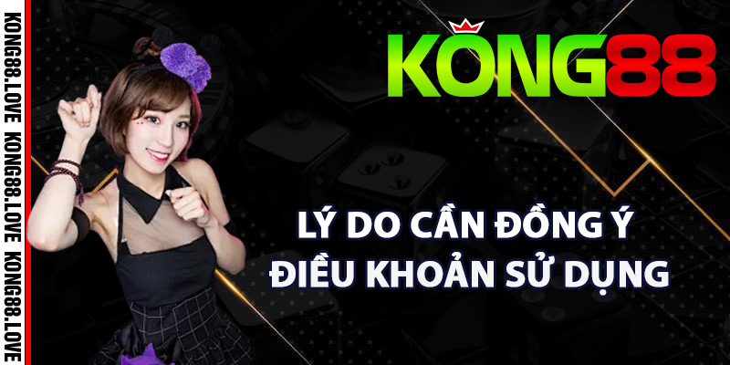 Điều Khoản Sử Dụng Kong88 Các Quy Định Quan Trọng Nhất 3 Lý do cần đồng ý điều khoản sử dụng Kong88